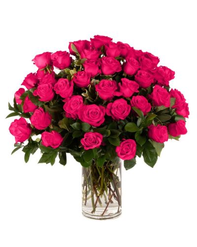 Double the Dozens 24 = 48 Hot Pink Roses