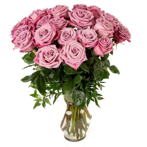 Double the Dozens 12 = 24 Lavender Roses