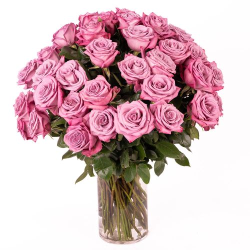Three Dozen Lavender Roses 