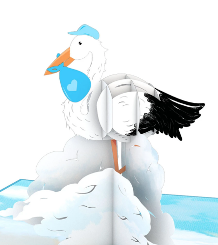 Love-Pop 3D Card - Boy Stork (On Sale)