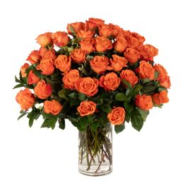 4 Orange Roses Four Dozen Orange Roses Designed Beautifully